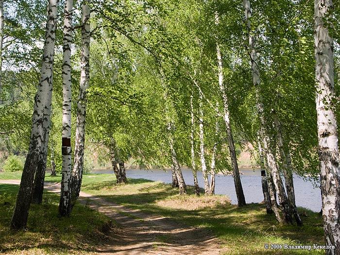 Природа Сибири, Nature of Siberia, Чунский район