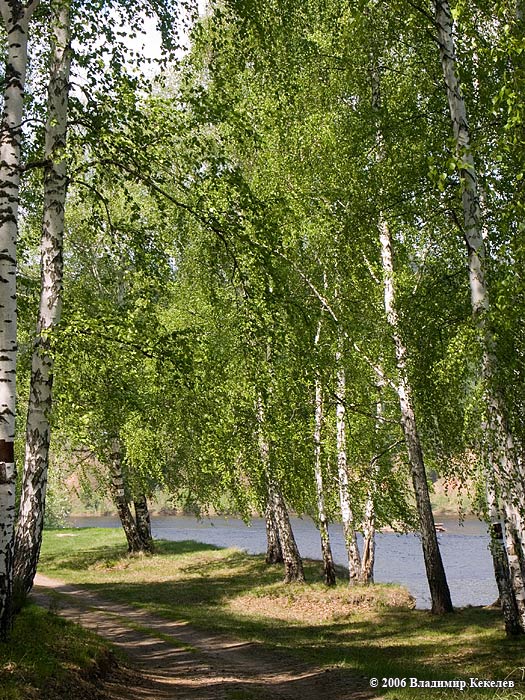 Природа Сибири, Nature of Siberia, Чунский район