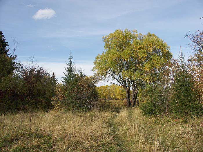 Природа Сибири, Чунский район
