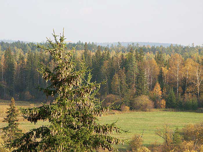 Природа Сибири, Чунский район