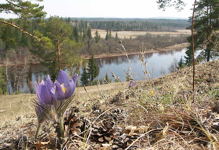 Природа Сибири, Чунский район