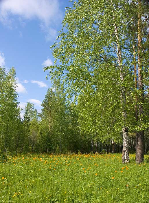 Природа Сибири, Чунский район