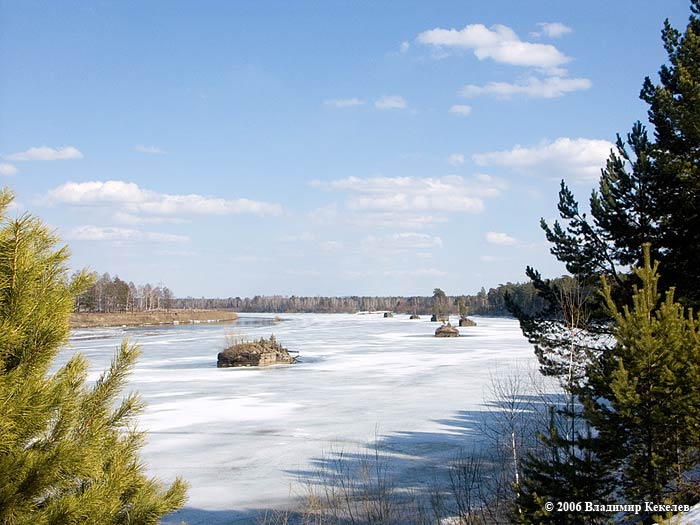Природа Сибири, Чунский район, Верба