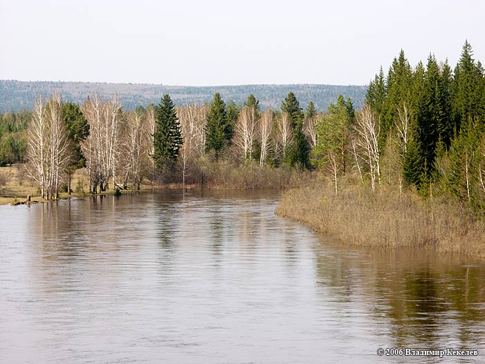 Природа Сибири, Чунский район, р.Чукша