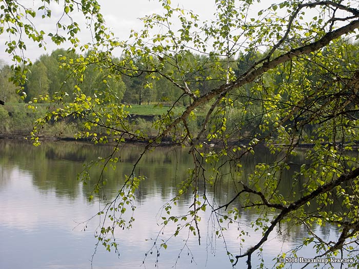 Природа Сибири, Nature of Siberia, Чунский район, Баянда 