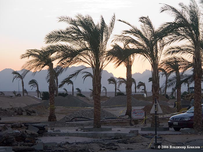  Пальмы, Вечер, Хургада, Египет, Hurghada, Egypt