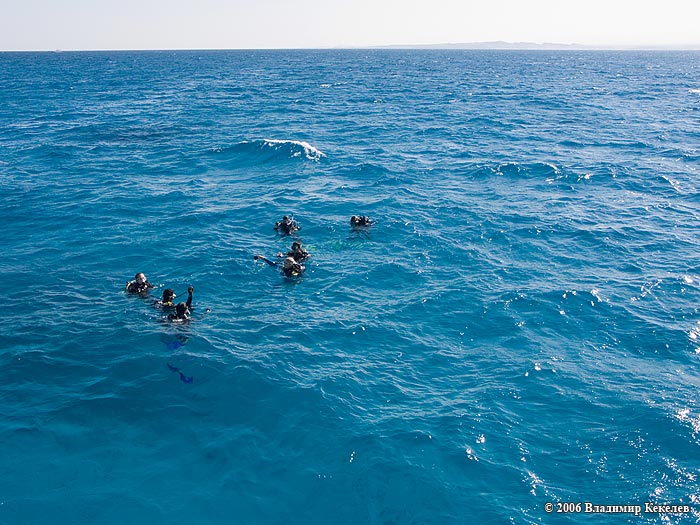 Дайвинг, Хургада, Египет, Красное море, Hurghada, Egypt, Red Sea